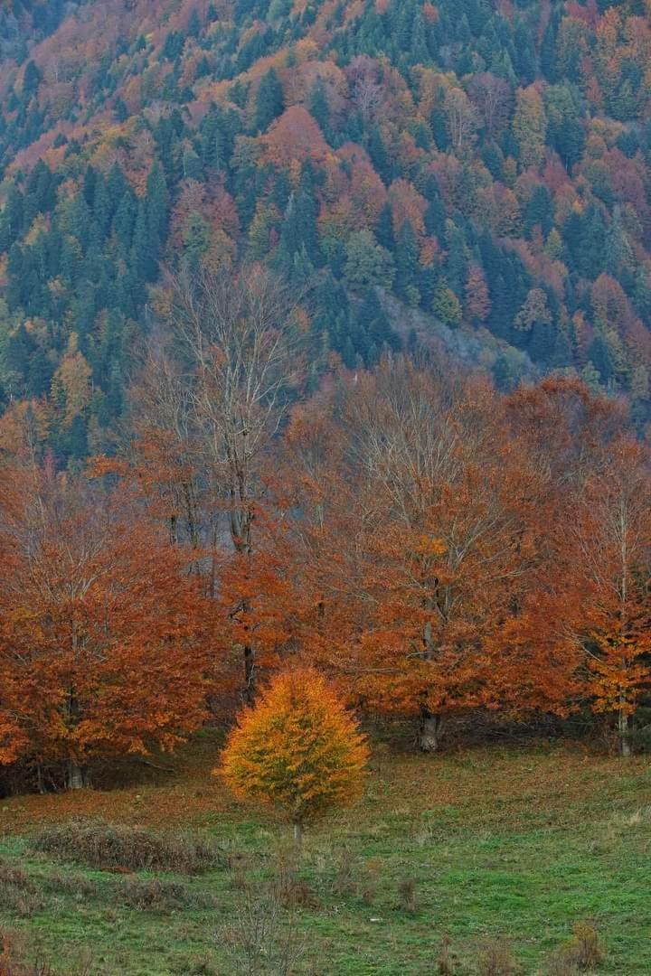 Archontiko Tou Krommyda Eláti Buitenkant foto
