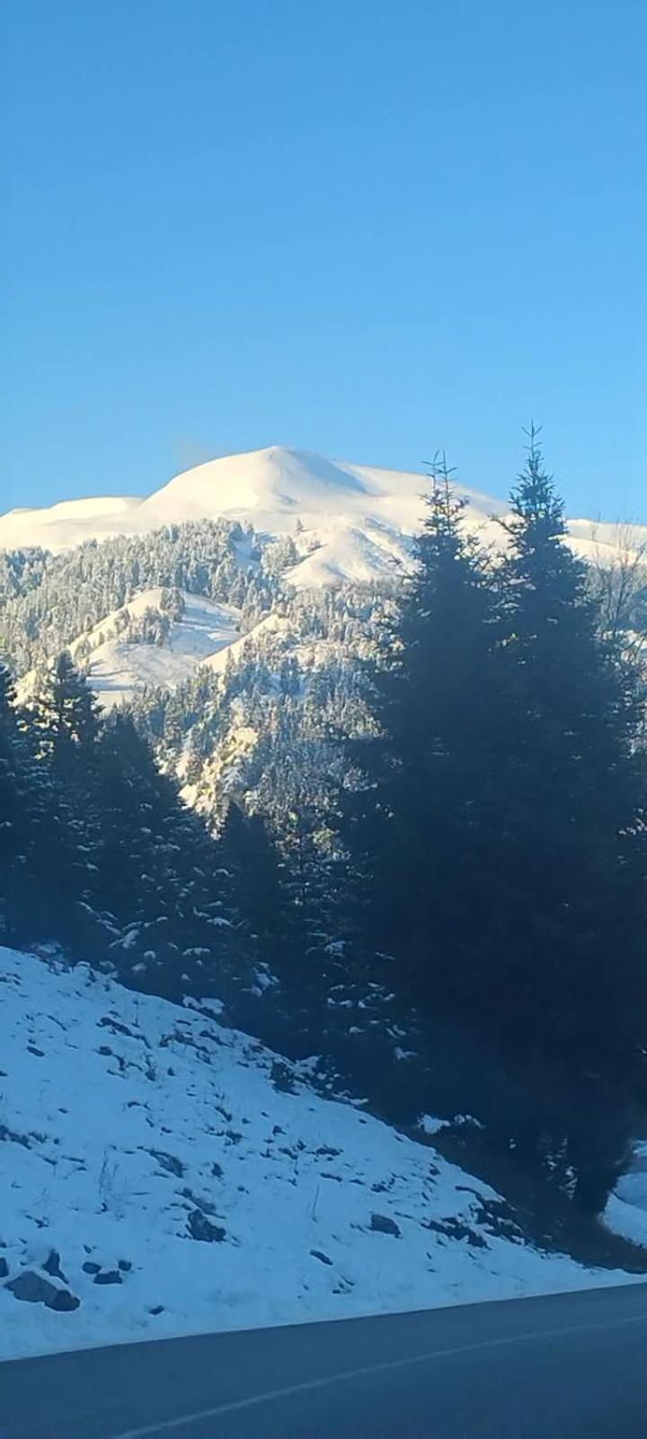 Archontiko Tou Krommyda Eláti Buitenkant foto