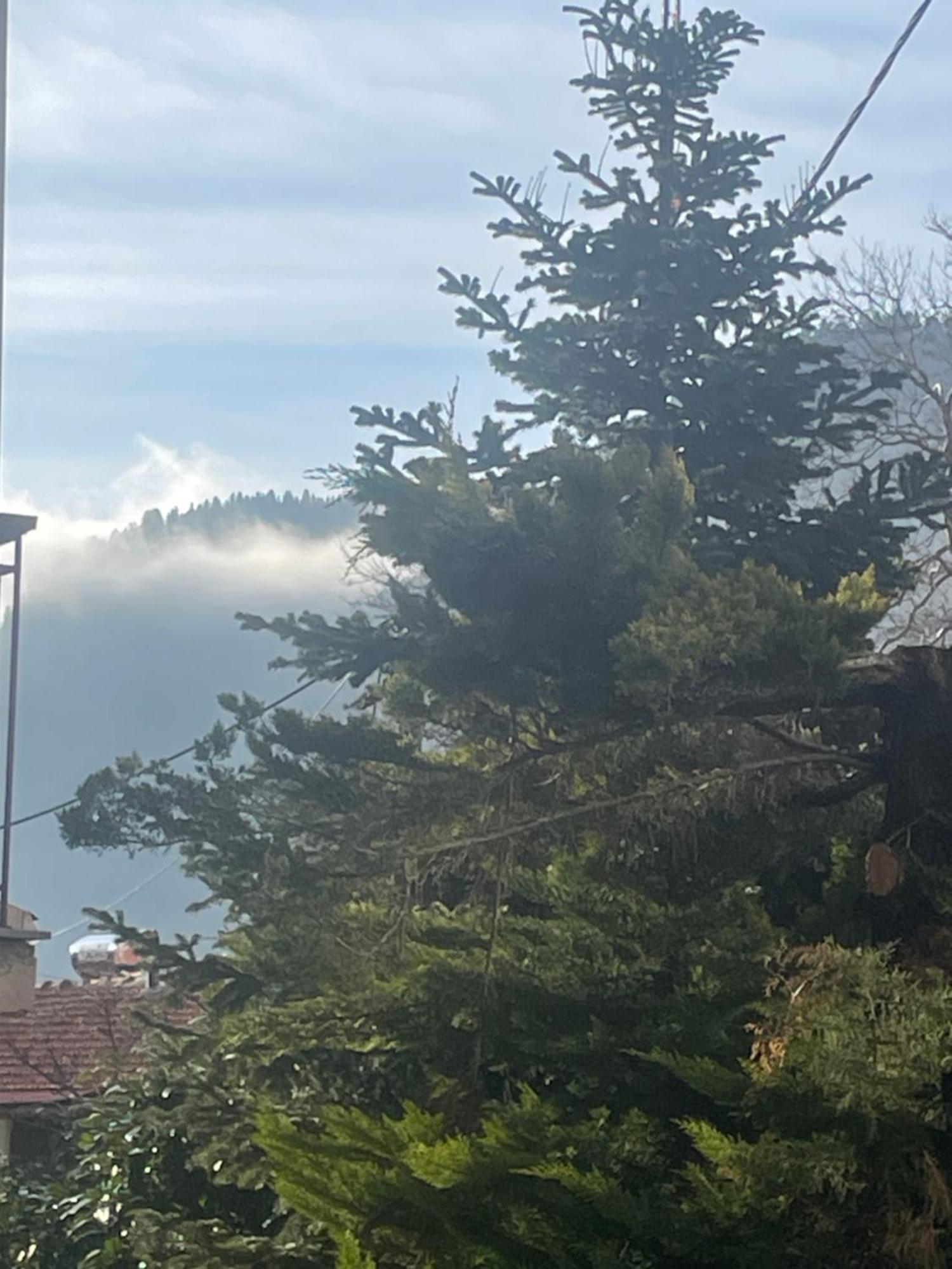 Archontiko Tou Krommyda Eláti Buitenkant foto